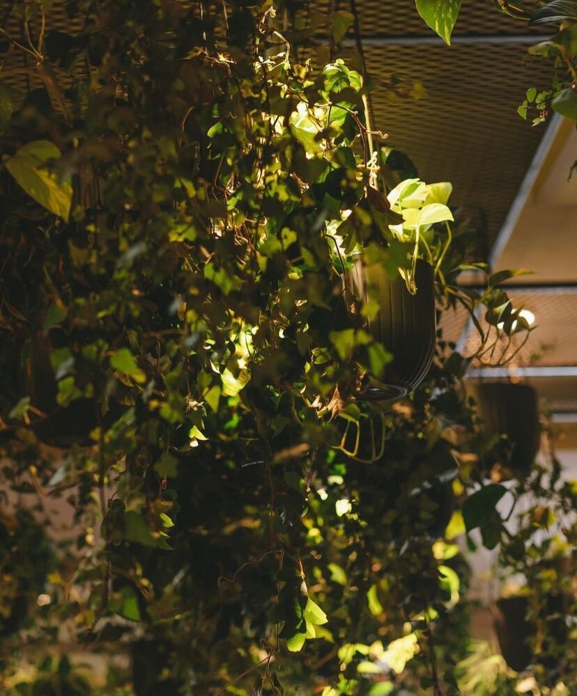 Фото Отель Европа