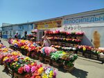 1000 Мелочей (Almetyevskiy trakt, 42А), artículos para el hogar