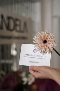 Candela (Orenburg, Nizhniy proyezd, 8/1), beauty salon
