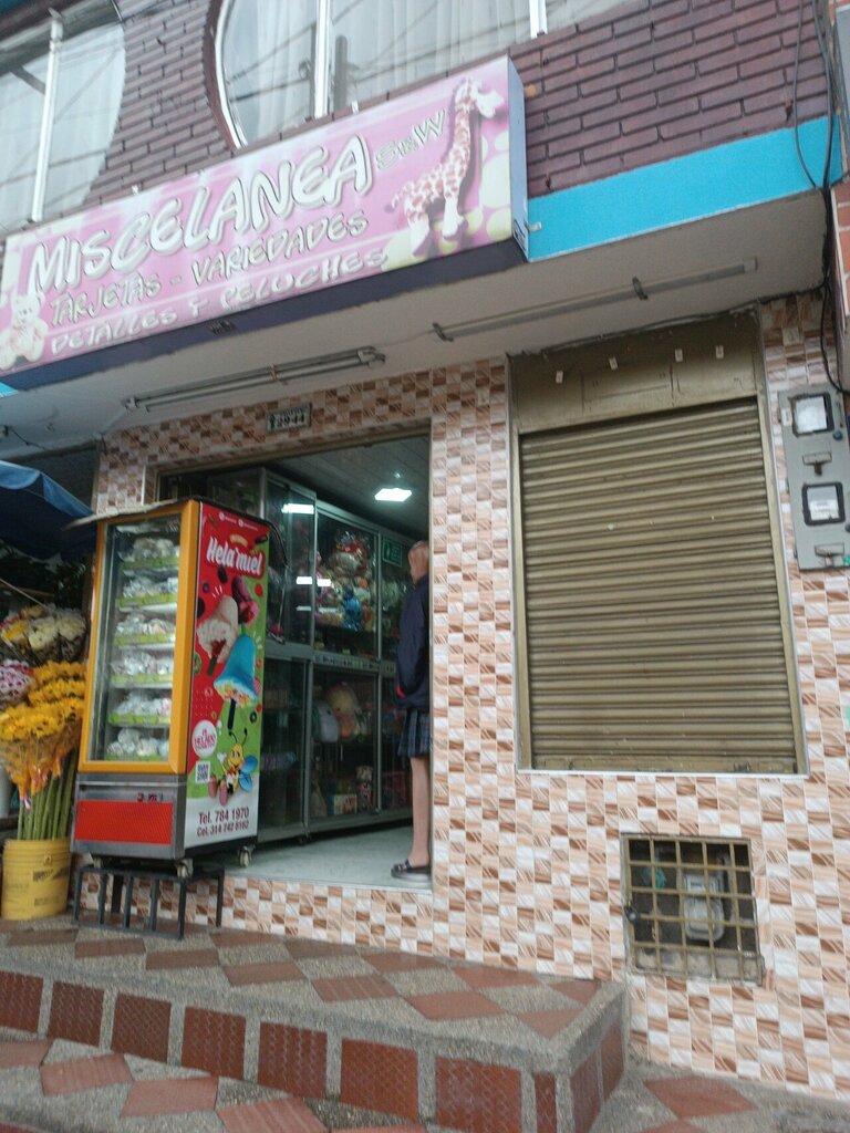 Toys and games Miscelánea SyW, Bogota, photo