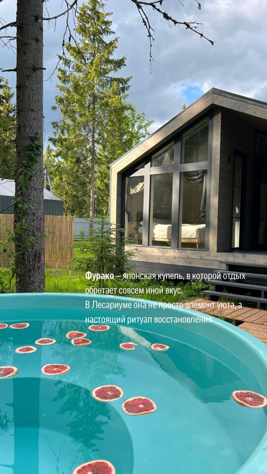 Фото Лесариум