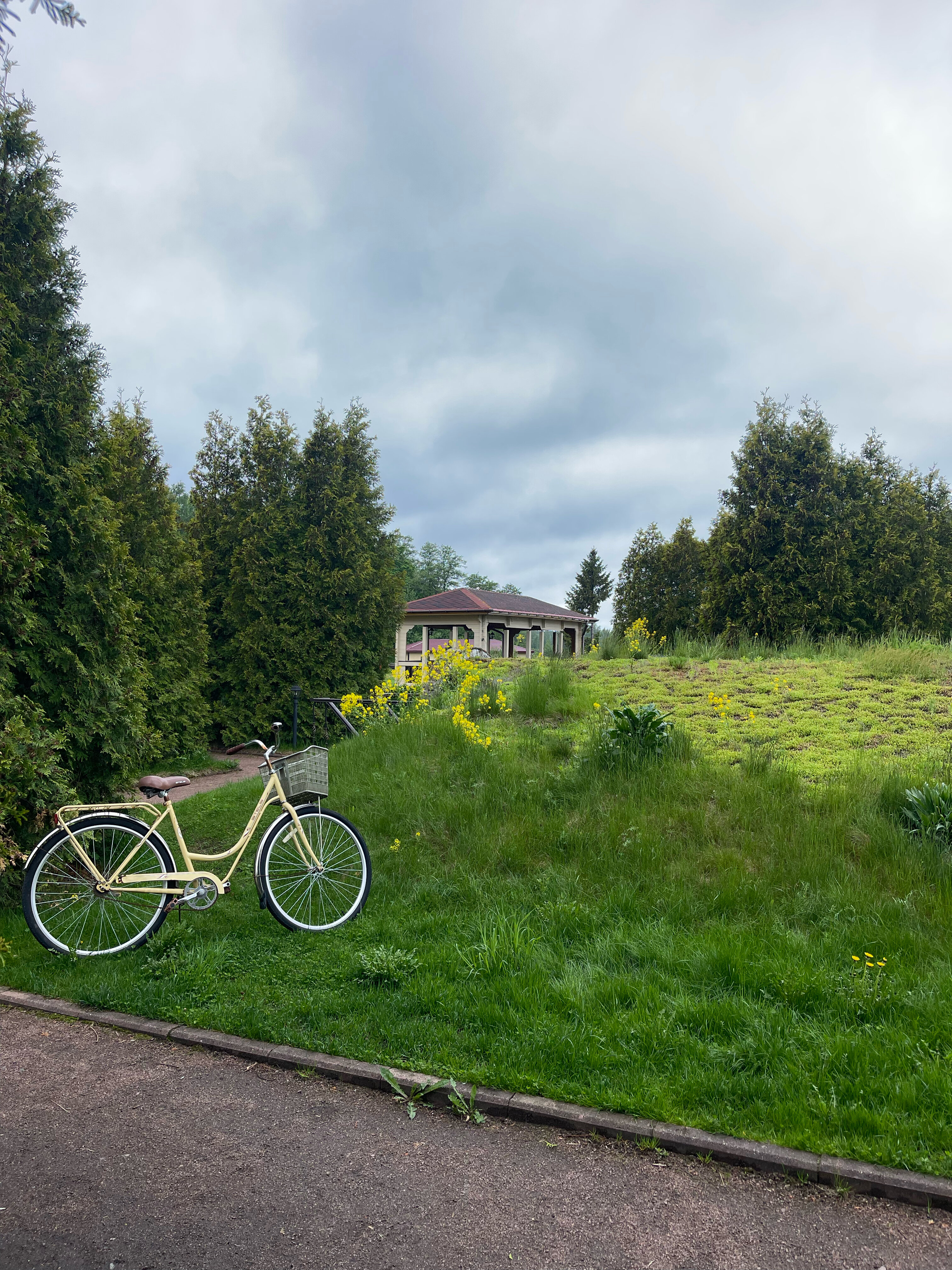 Фото Пихтовое