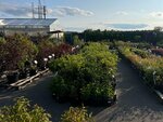 GreenЛандия (posyolok Simagino, Tsentralnaya ulitsa, 4), garden center
