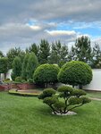 Петров Групп (Village of Buzharovo, Sovetskaya Street, 1/2), landscape design