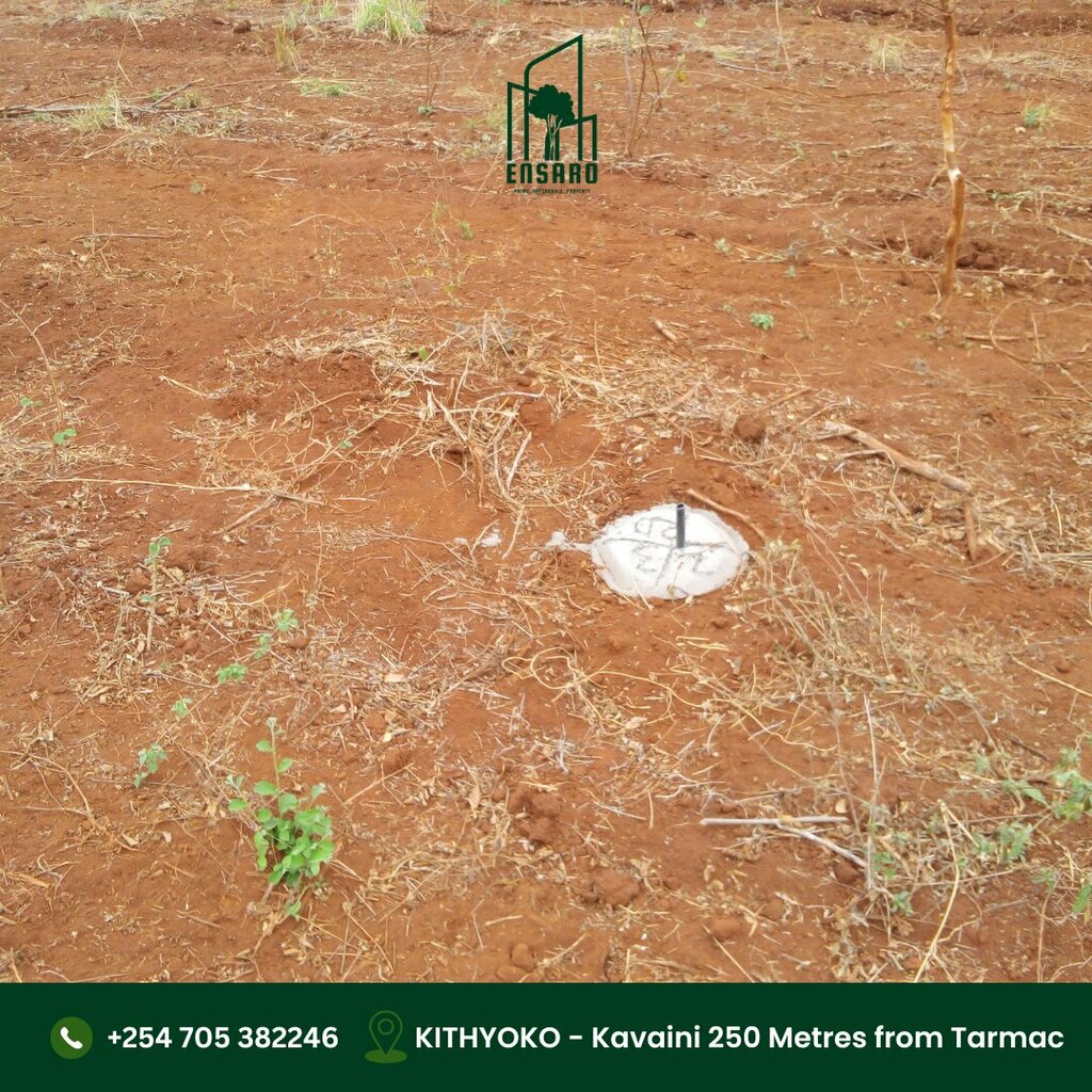 Real estate development Ensaro Limited, Earth, photo