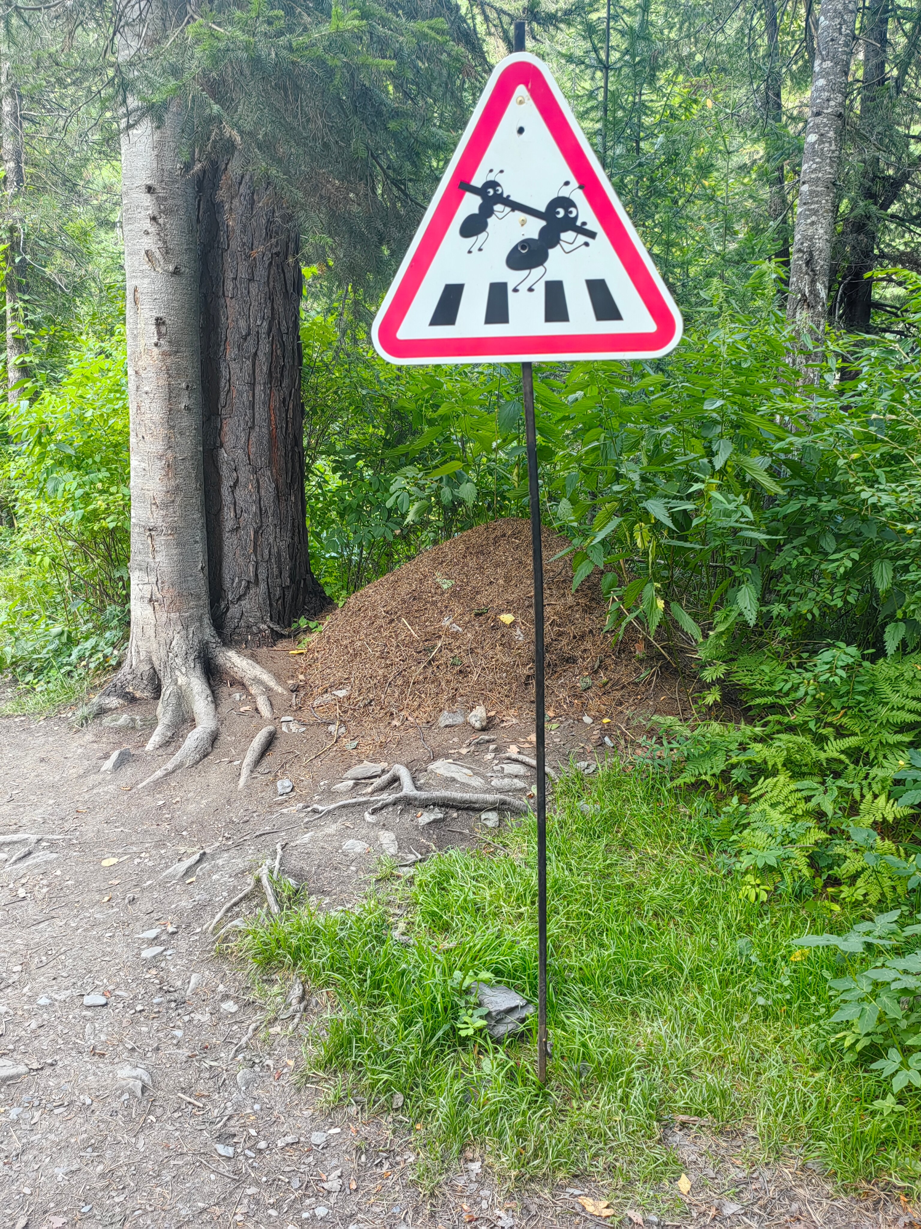 Фото Телецкое озеро