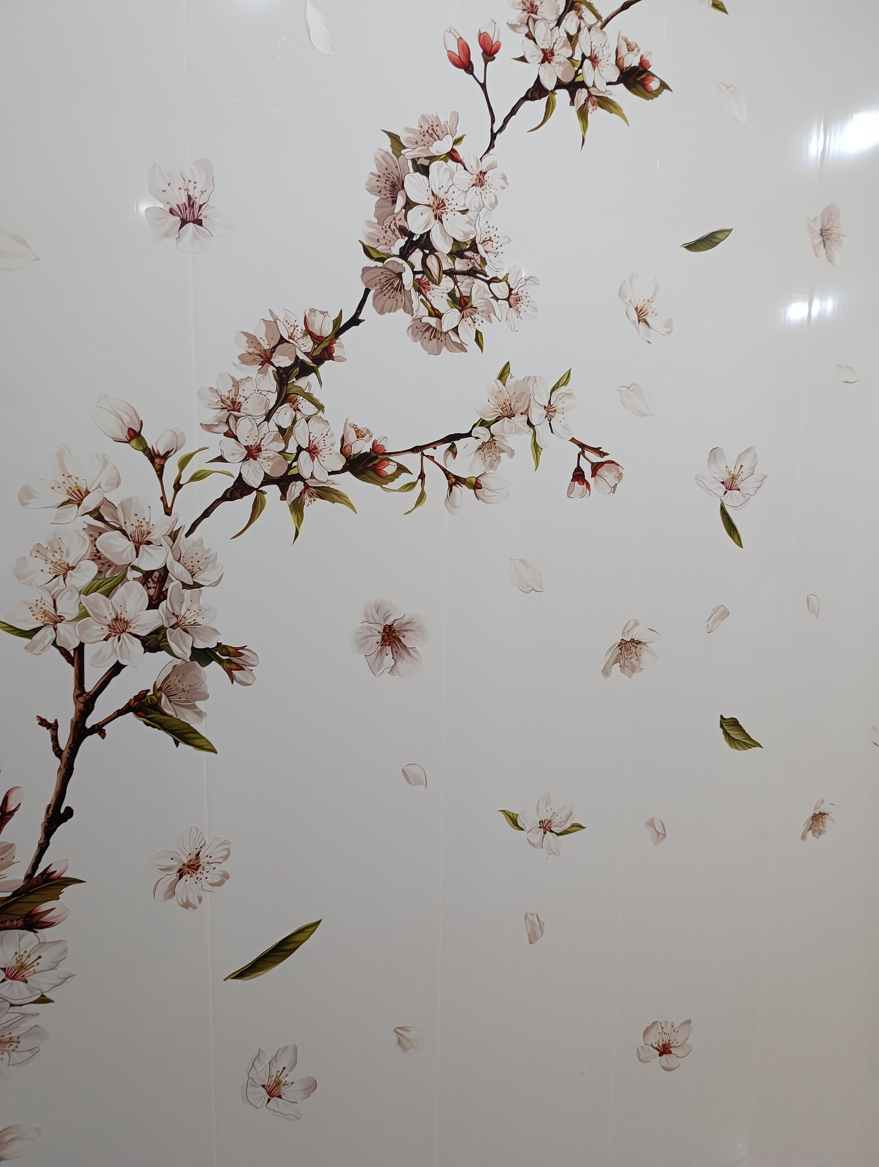 Фото Мартини