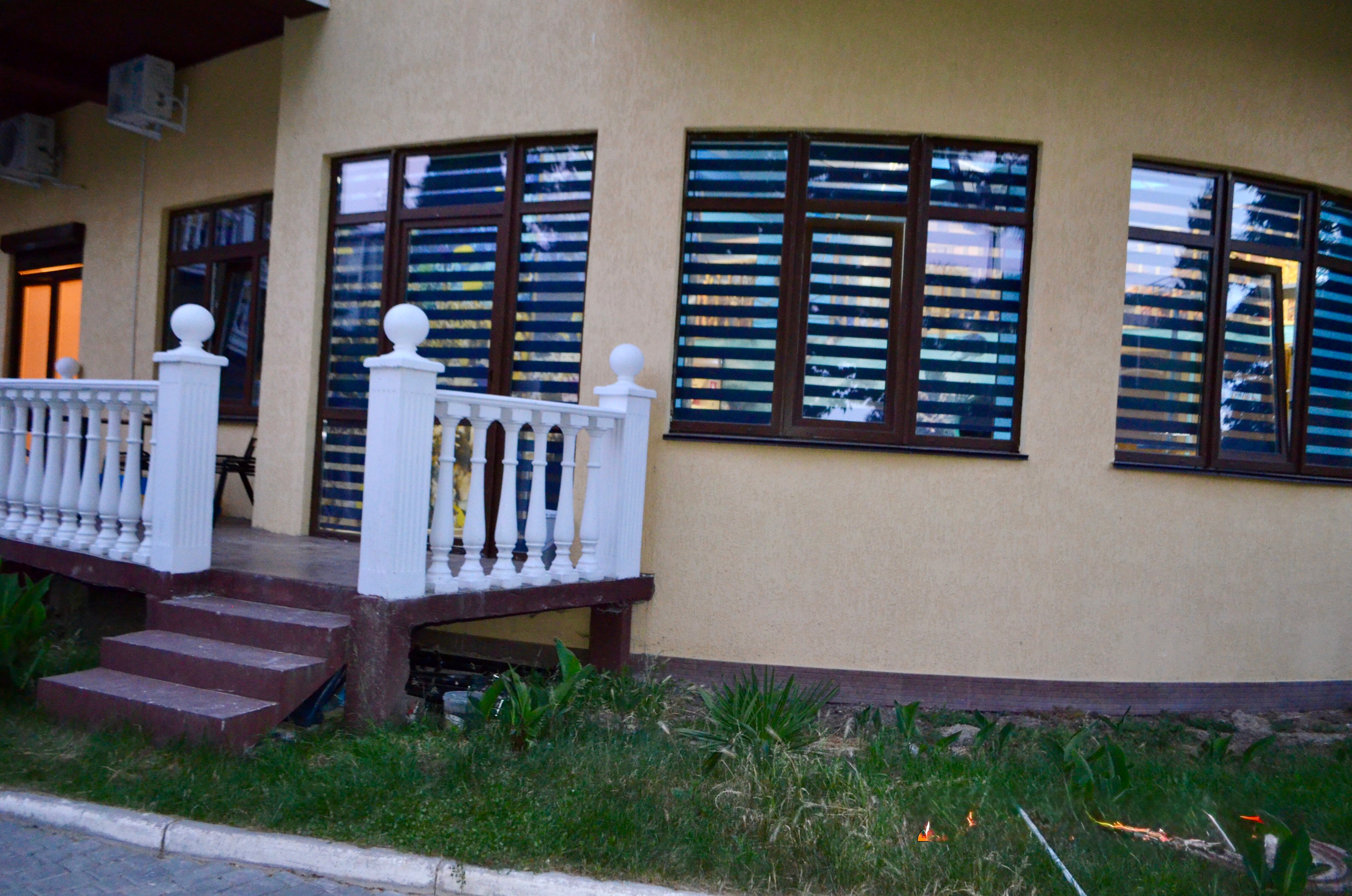 Фото Дельфин