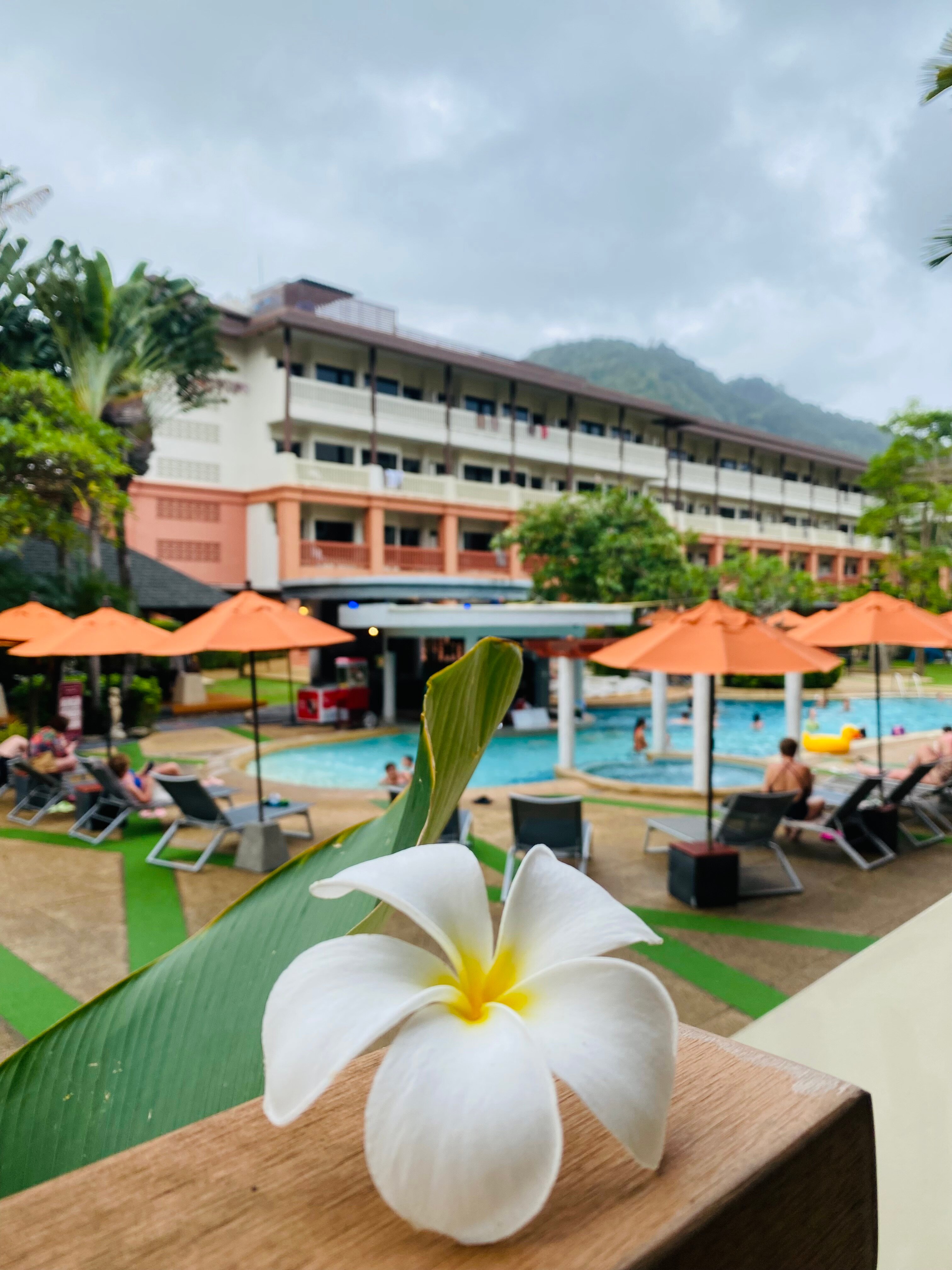 Фото Kata Sea Breeze Resort