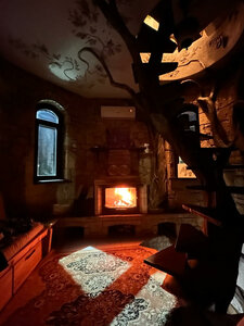 Дом в аренду Башня в Царицыно