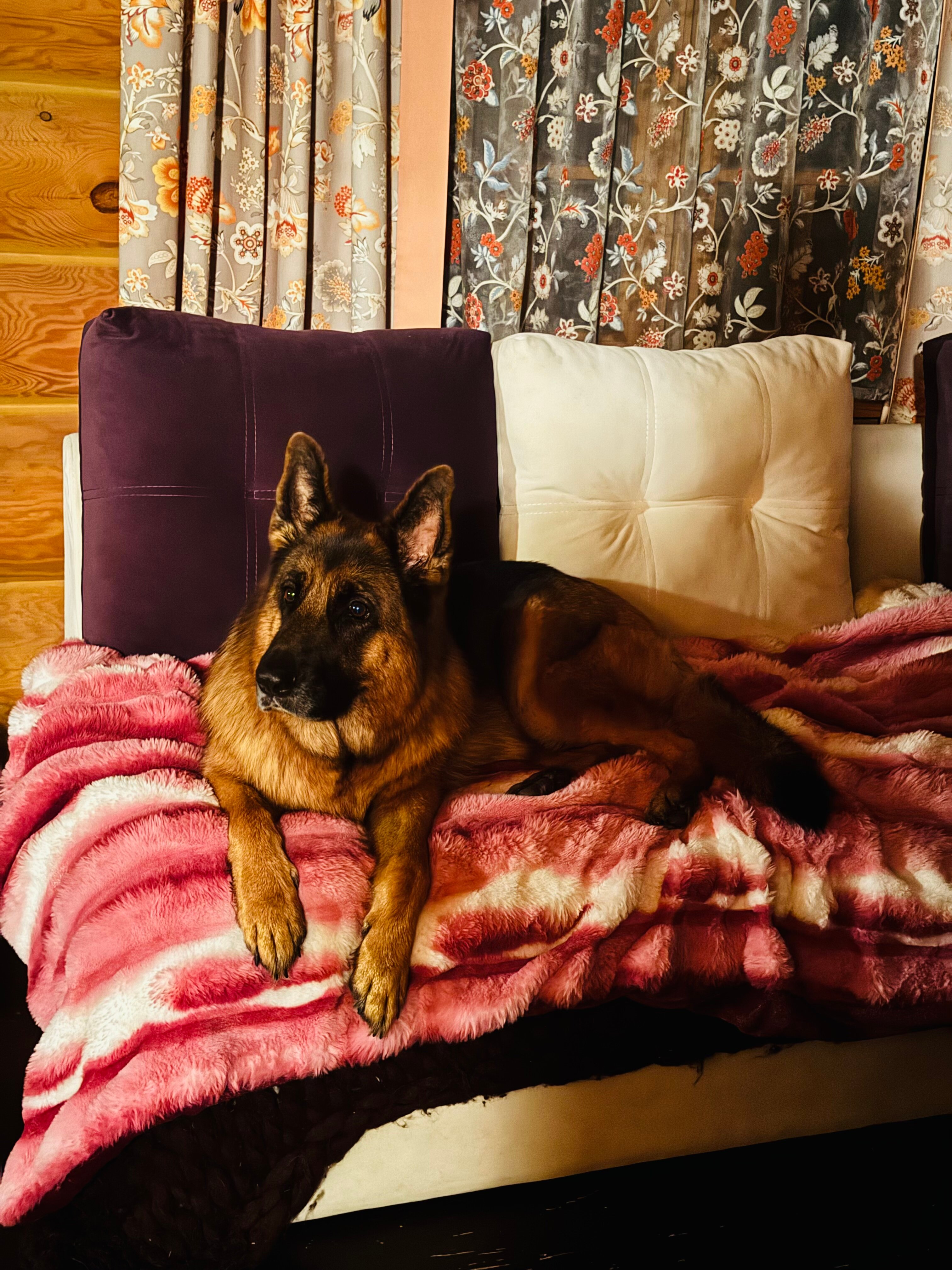 Фото Сокольский Бор