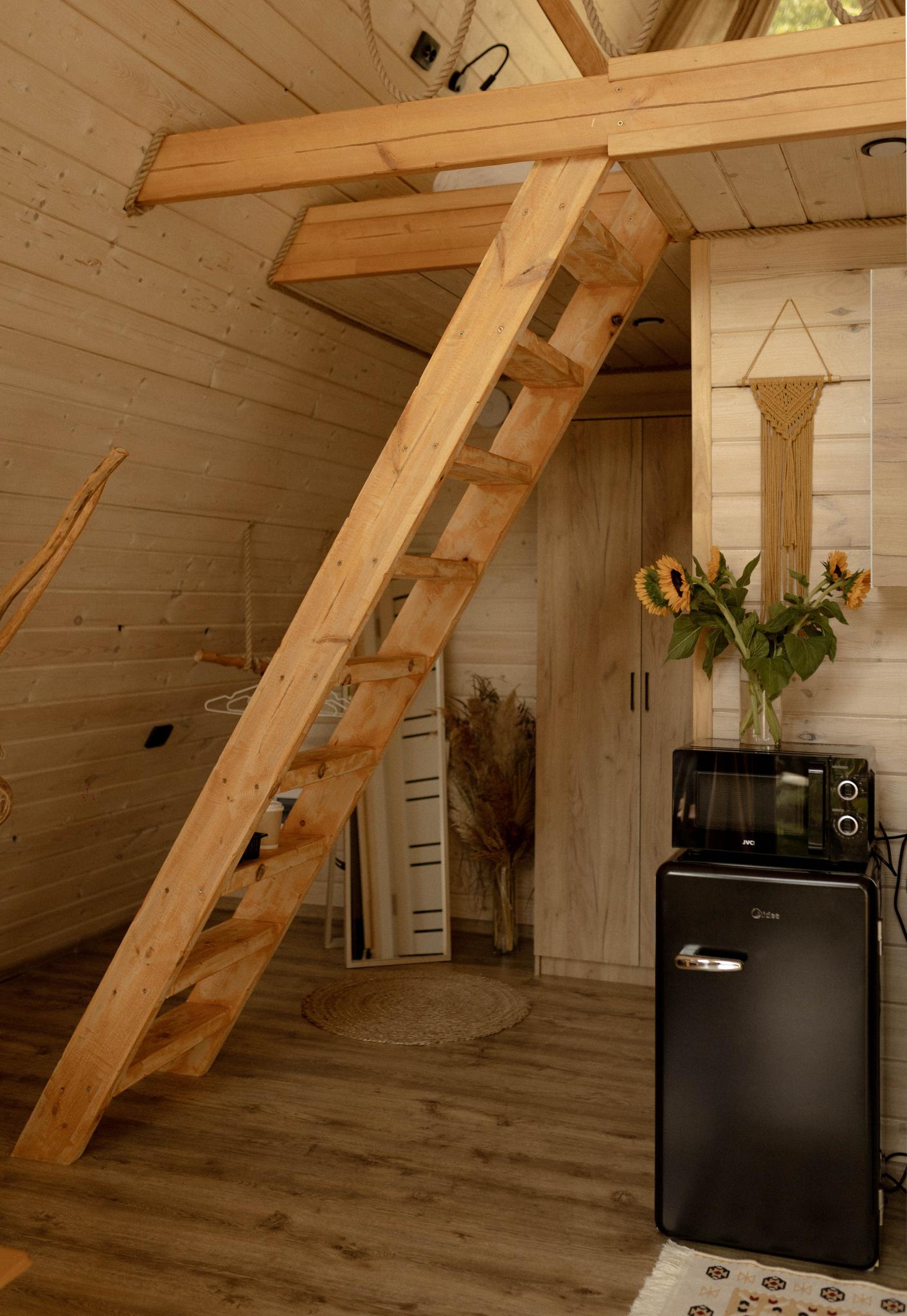 Фото Экосказка