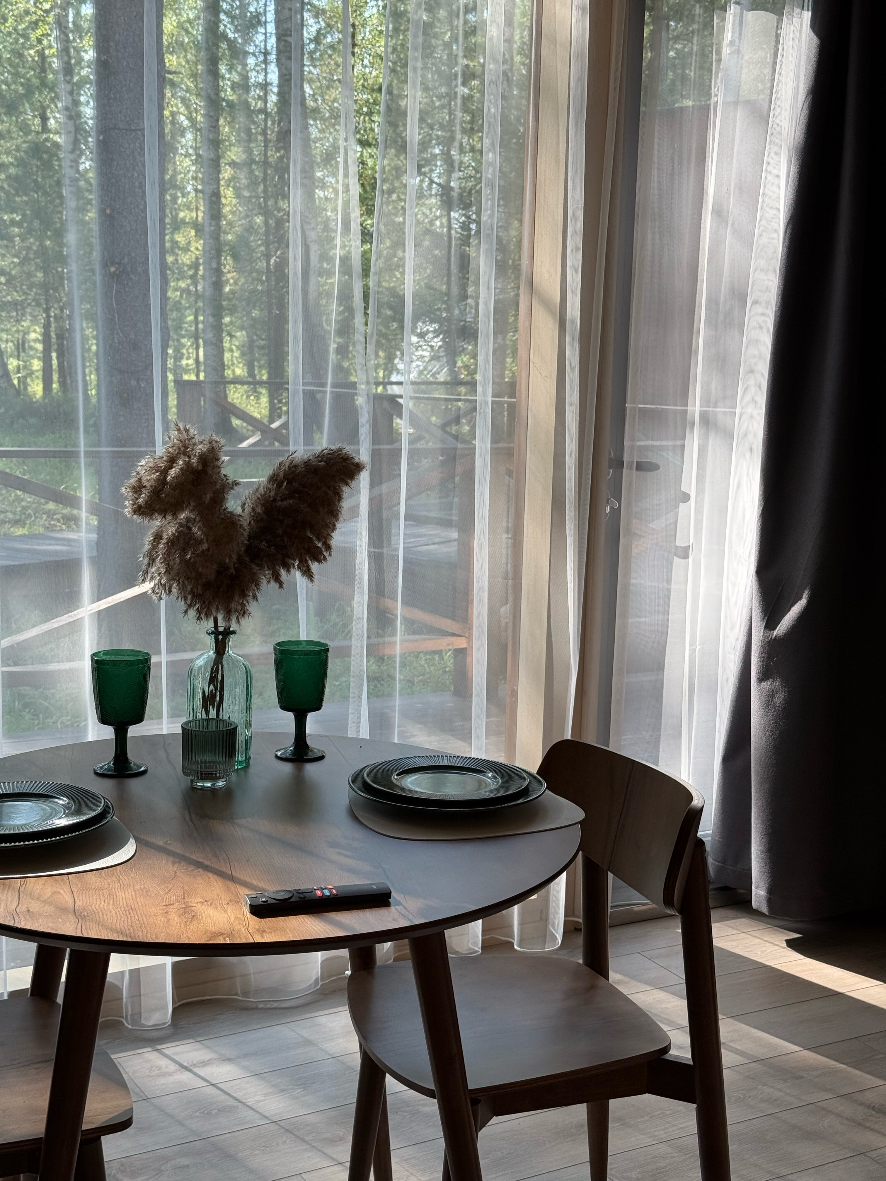 Фото Снежные Гуси