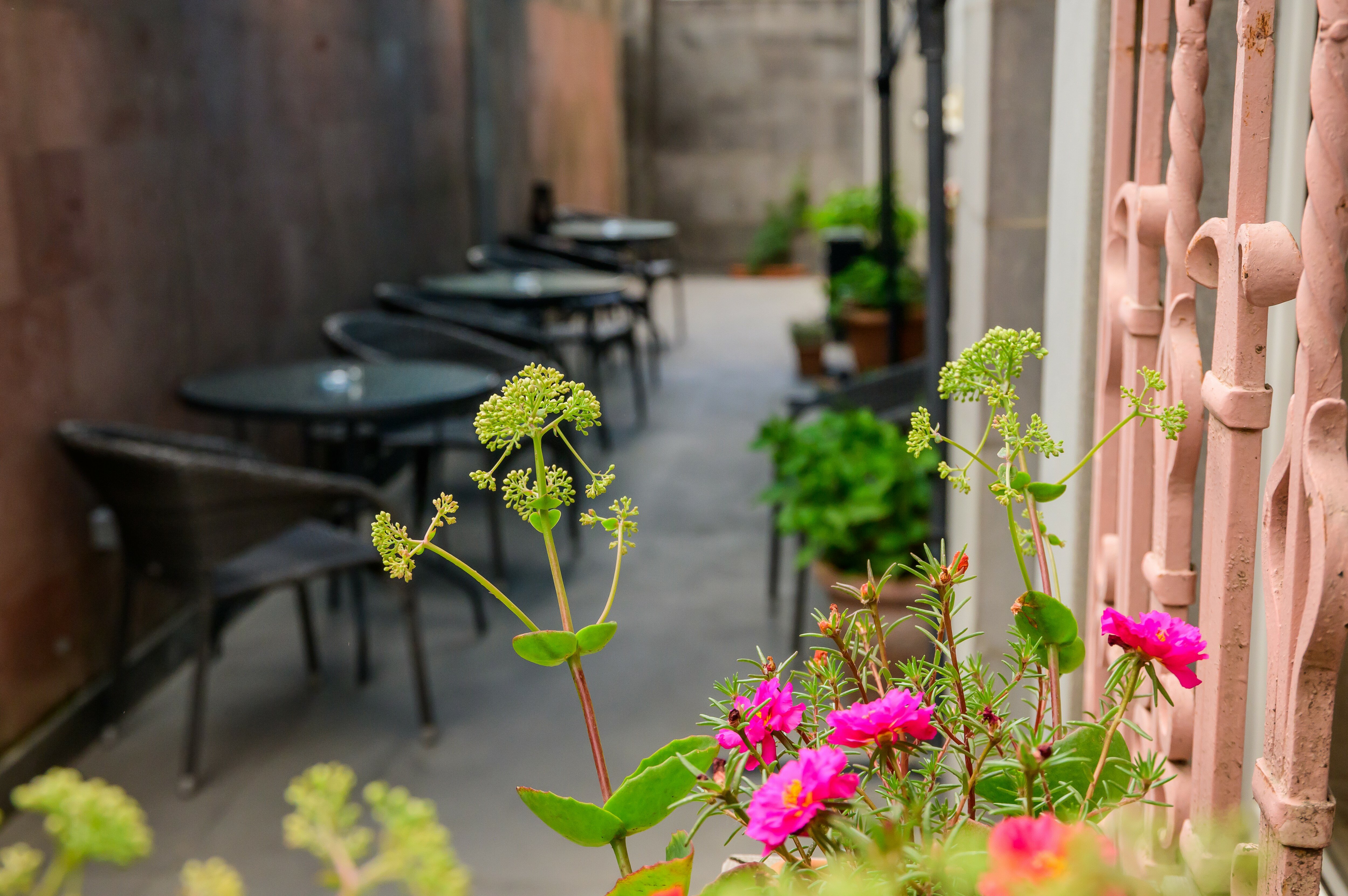 Фото Миа Каса