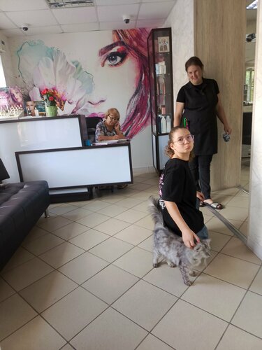 Диктегі мастурбация