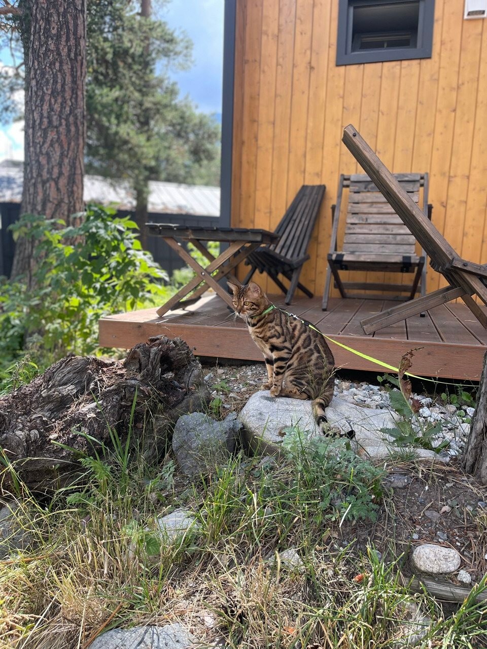 Фото Barn-Terskol Guest House