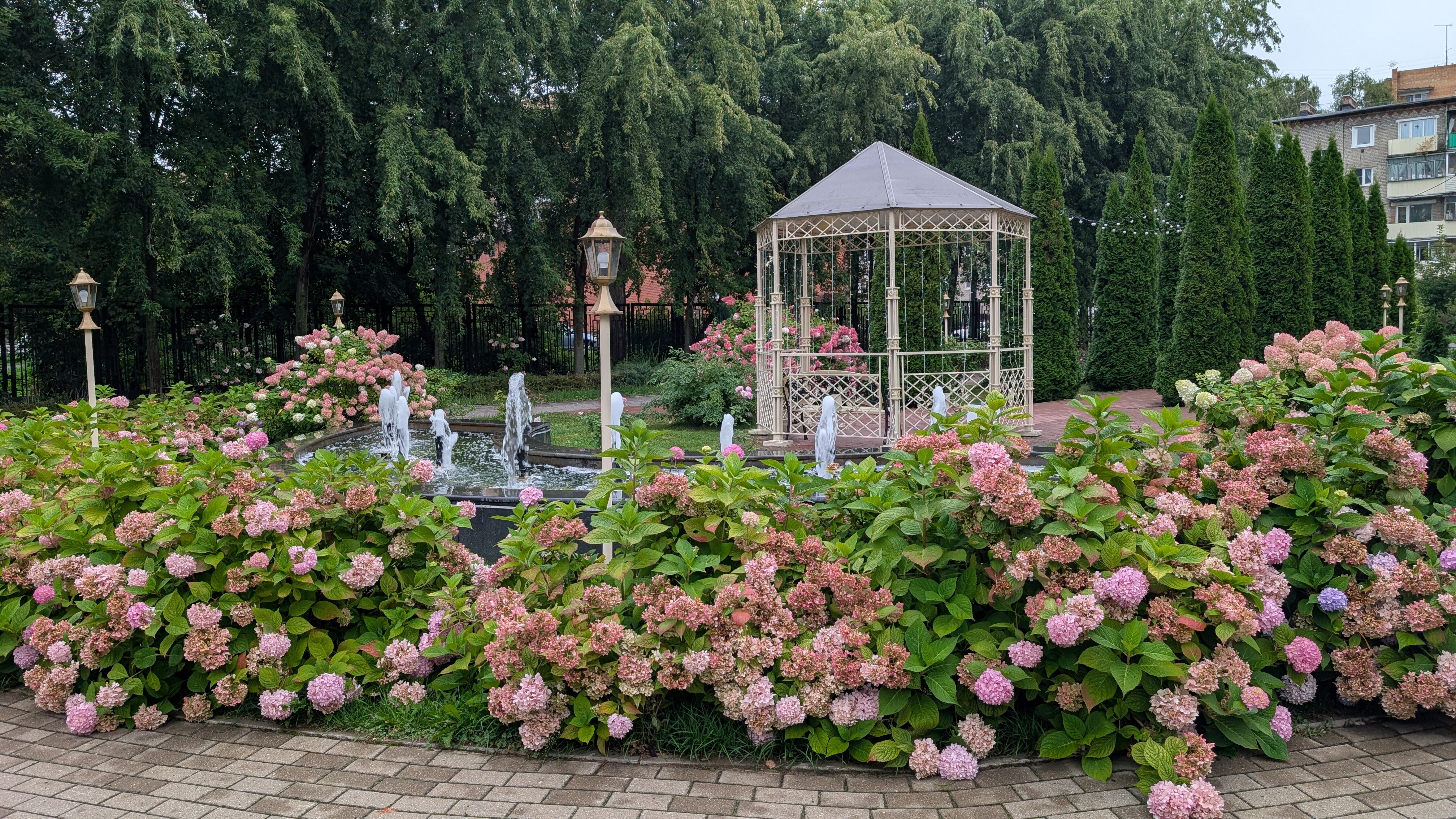 Фото Зуевский