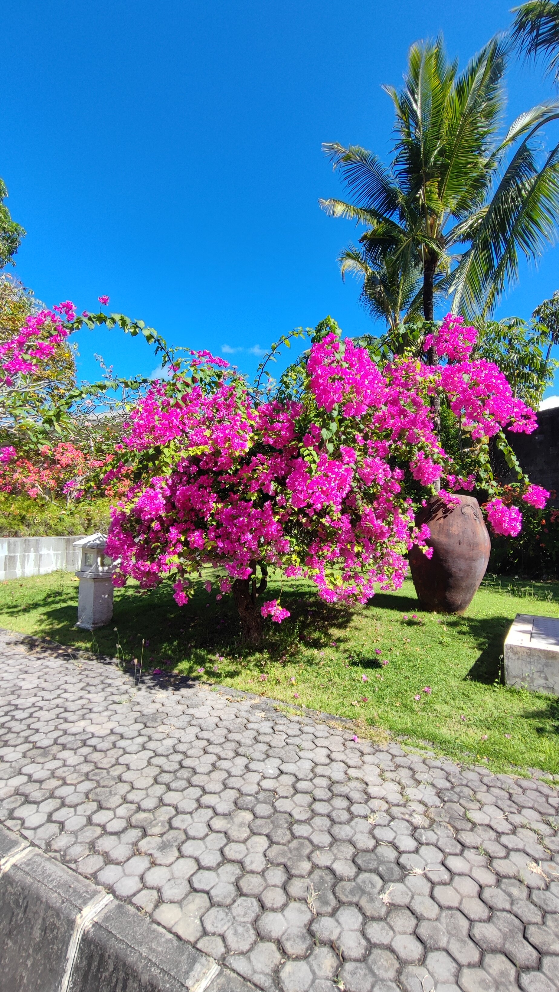 Фото Merusaka Nusa Dua