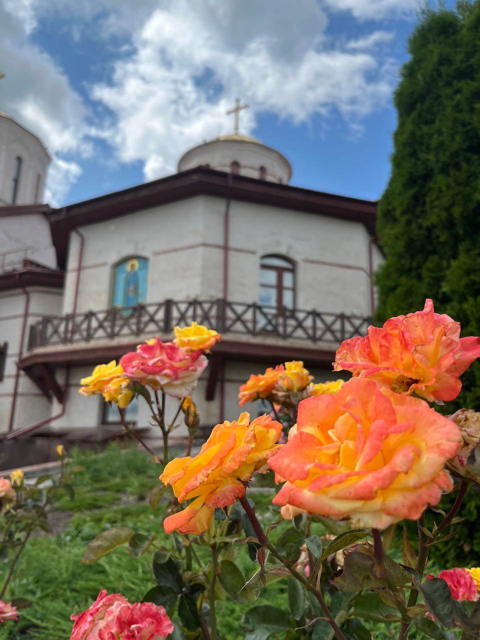 Фото Высота 63 метра над уровнем моря