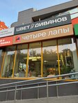 Domik (Novlyansky Microdistrict, ulitsa Kagana, 17), flower shop