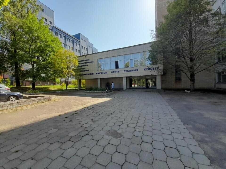 Nail salon Студия маникюра и педикюра, Smolensk, photo