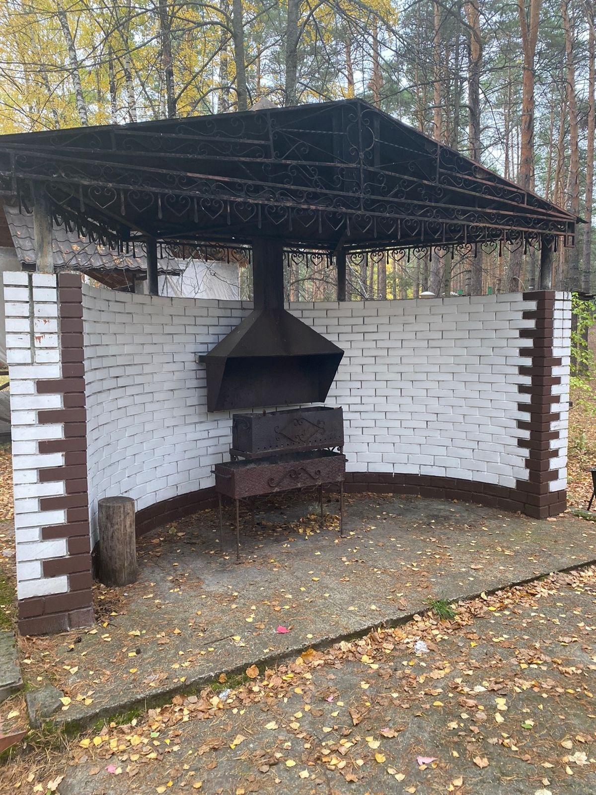 Фото Большая медведица