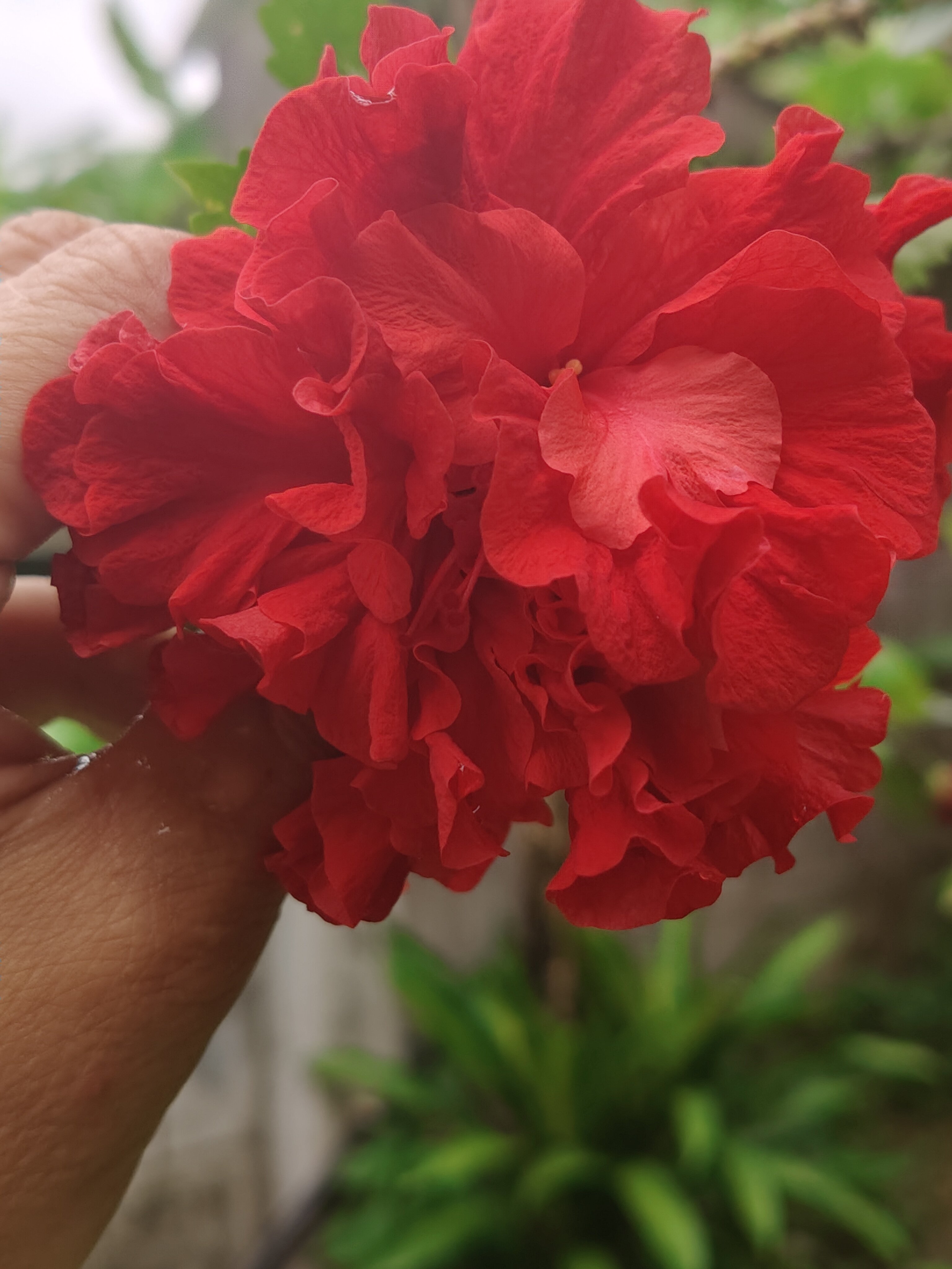 Фото Baan Vanida Garden Resort