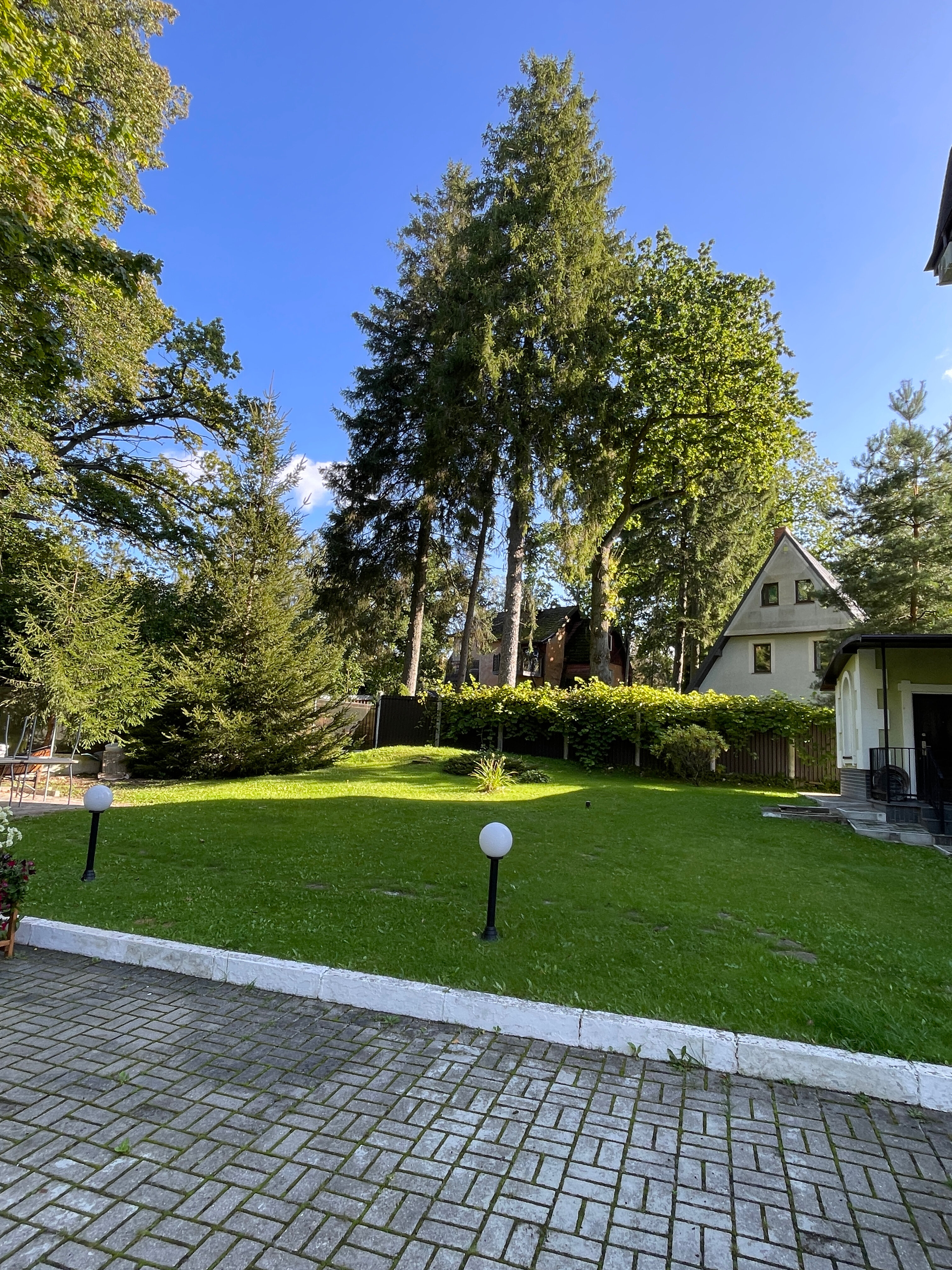 Фото Лес Георга