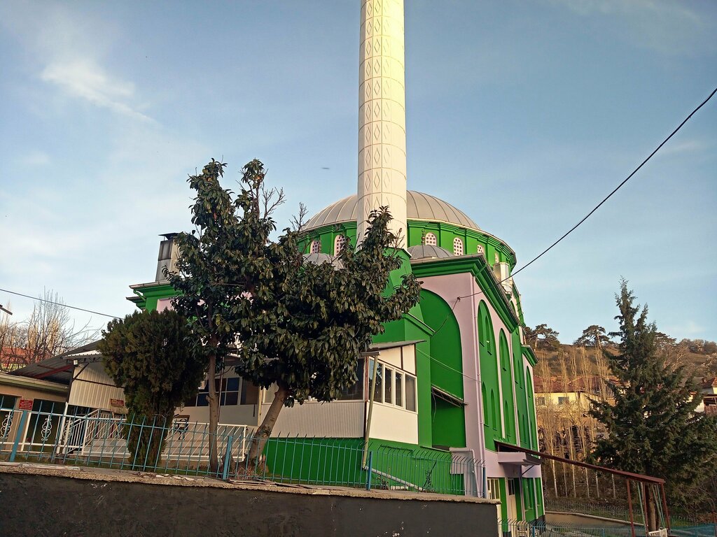 Mosque Y Karacahisar Village Mosque, Banaz, photo