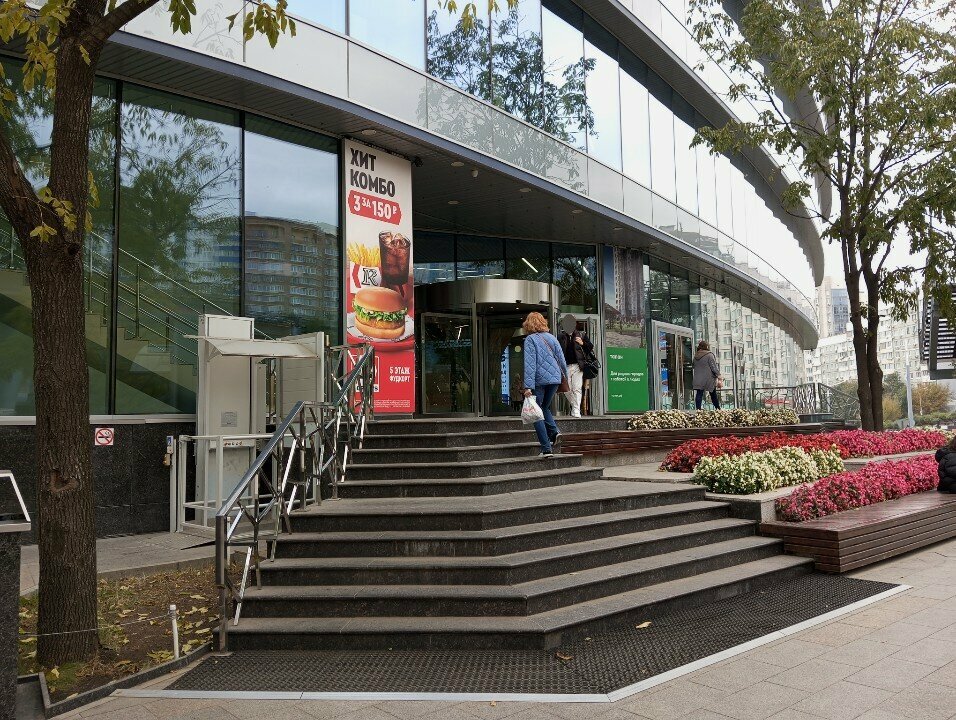 Animal nursery Arte Vita Cattery, Vladivostok, photo