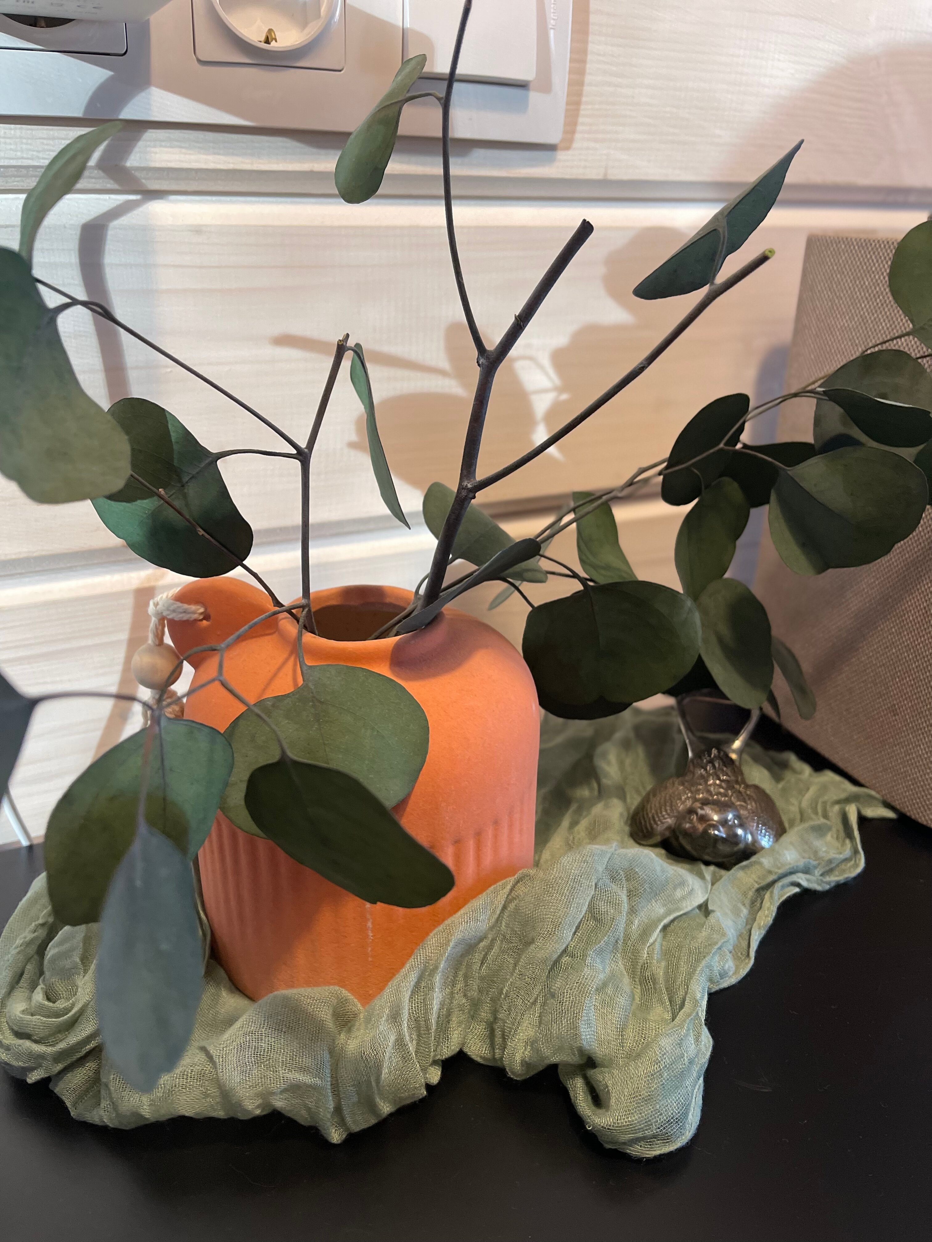 Фото Шапки дача