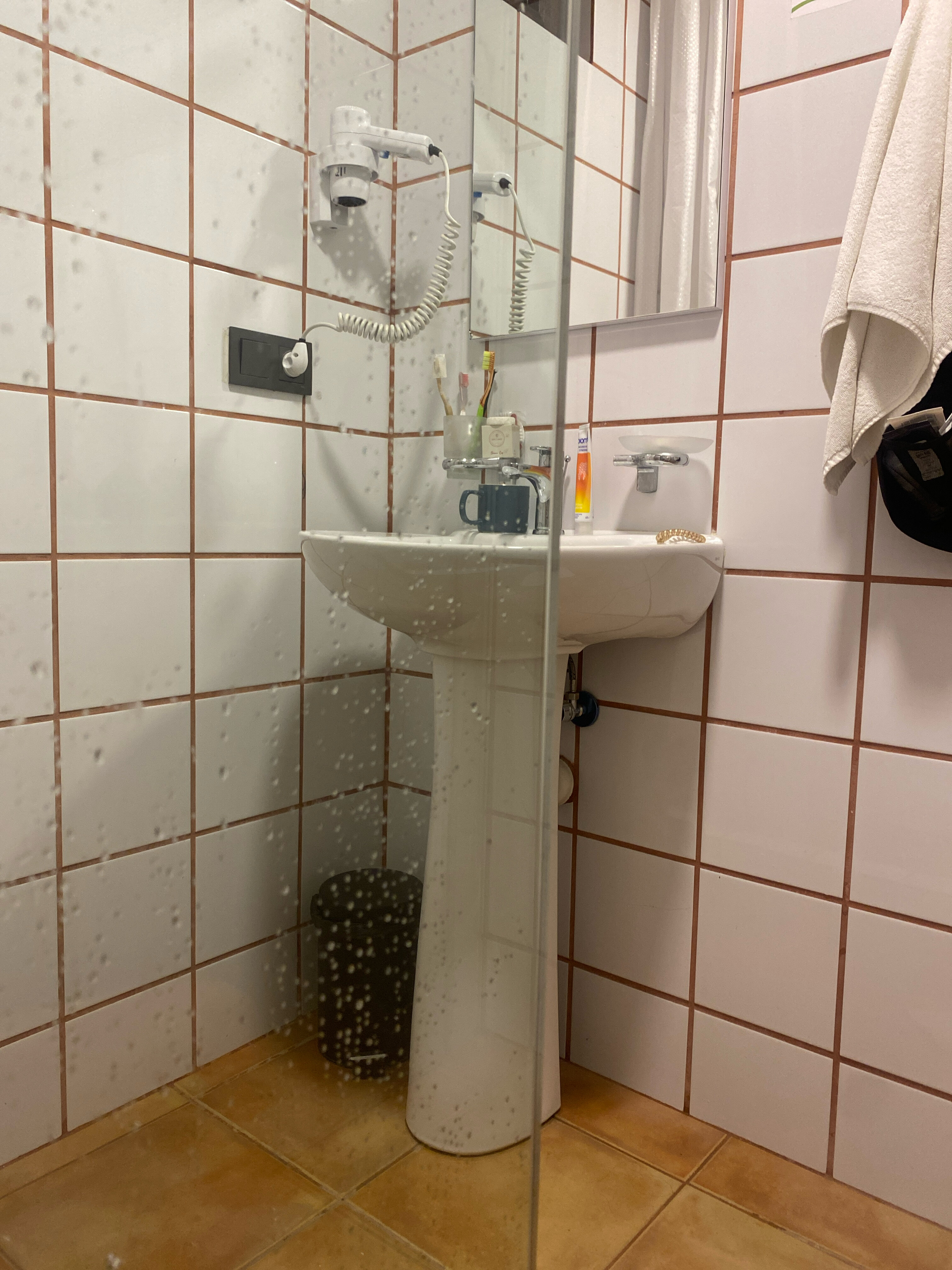 Фото Reikartz King Tamar