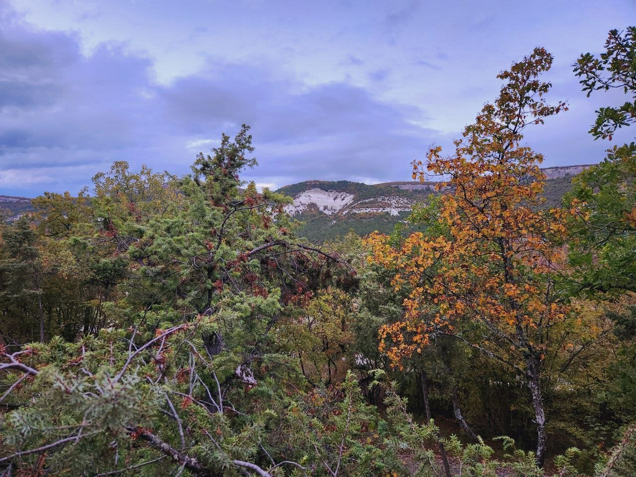 Фото Домики в лесу Шули