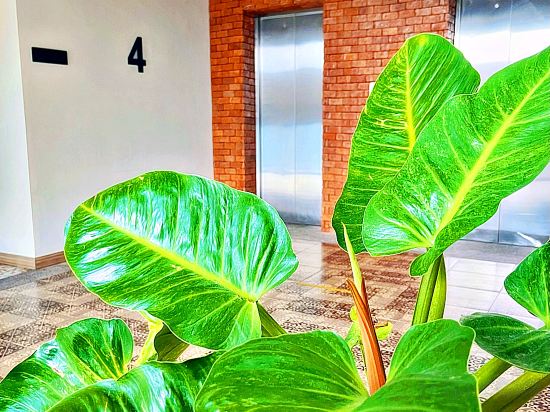 Фото The Sixteenth Naiyang Beach Hotel