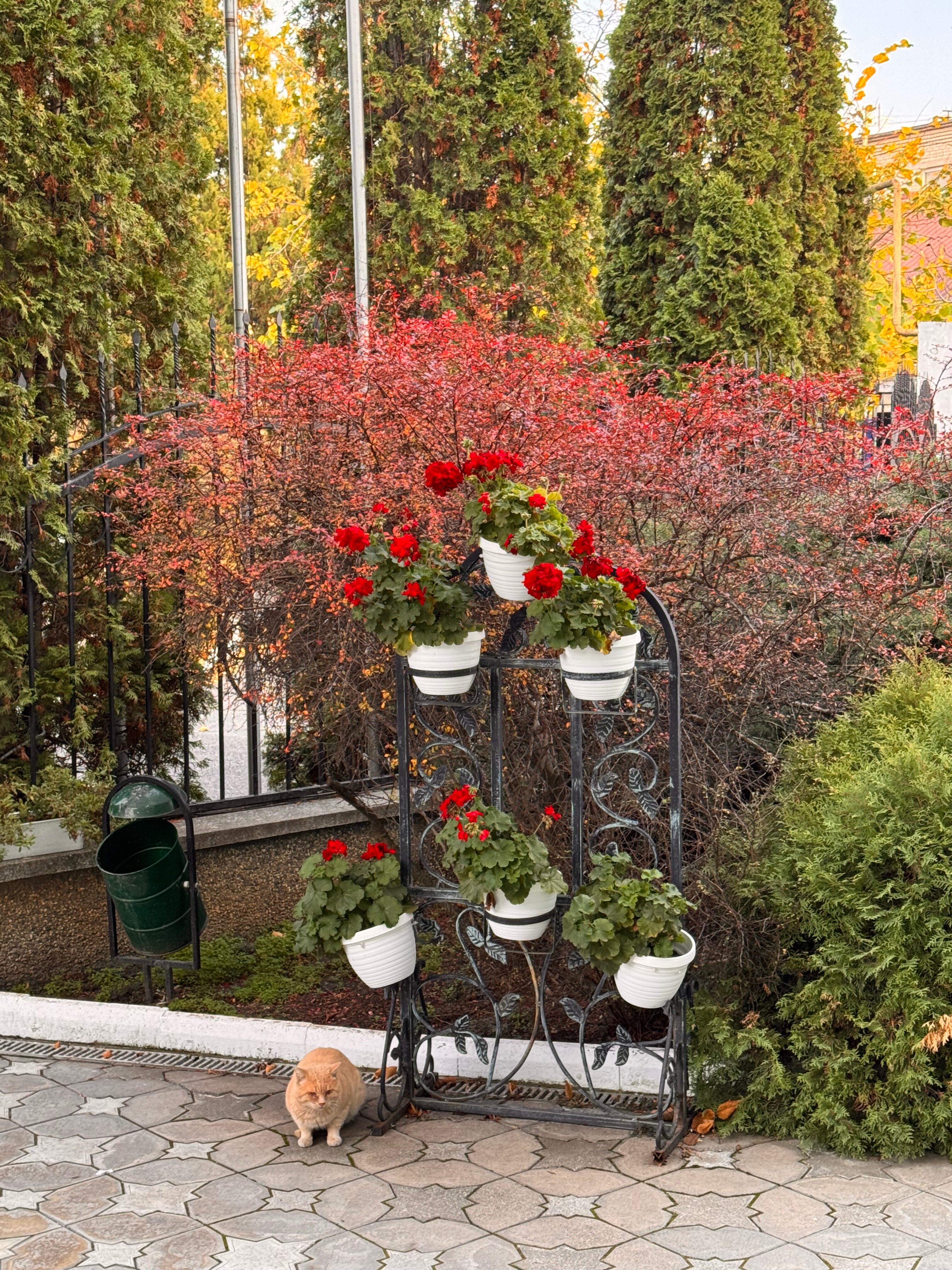 Фото Зелёная