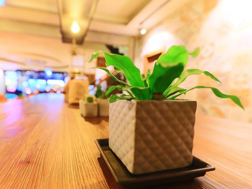 Фото Military 75 Hotel