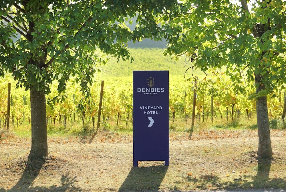 Фото Denbies Vineyard Hotel