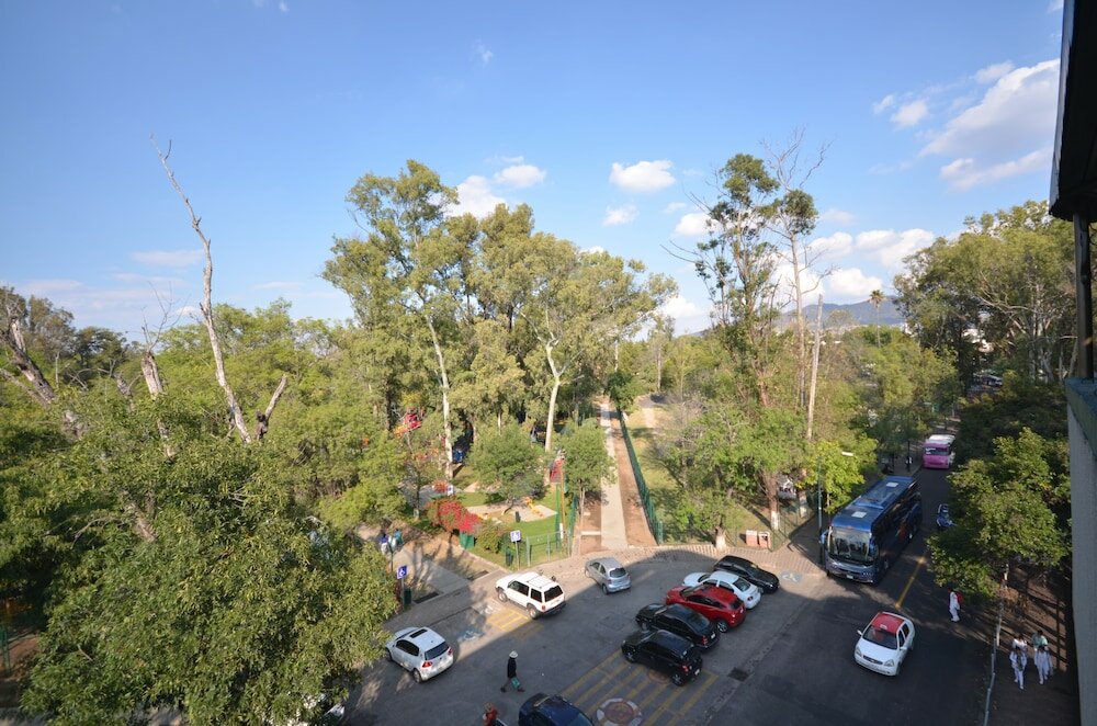 Фото Hotel Diana del Bosque by Dot Urban