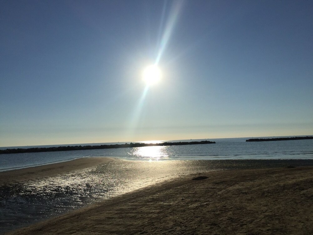 Фото Hotel Viking