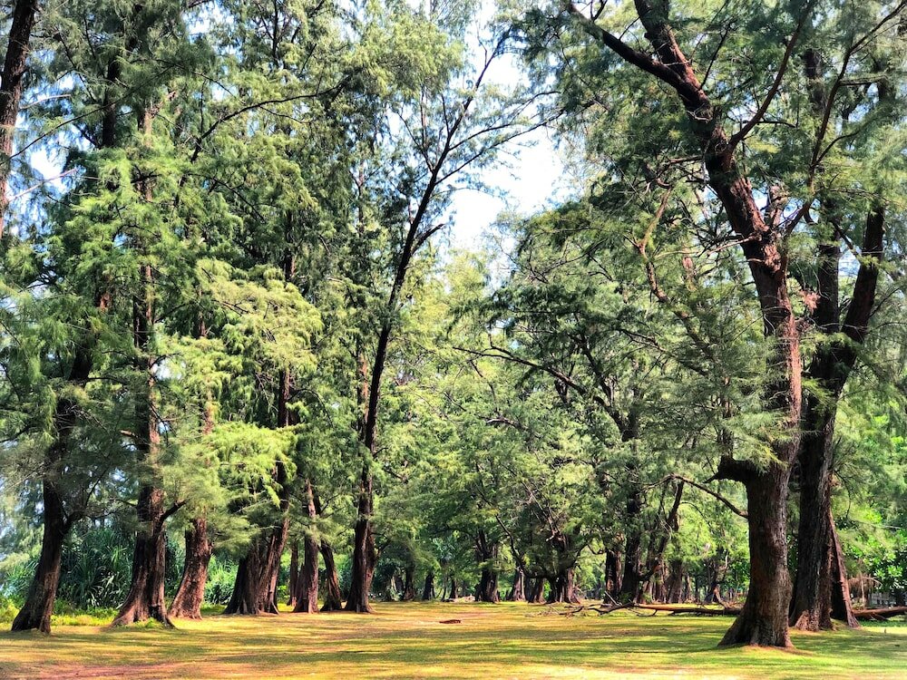 Фото Dewa Phuket Resort & Villas