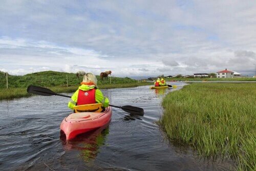 Гостиница Gesthus Selfoss в Сельфоссе