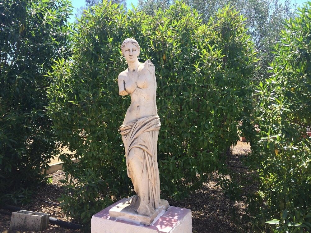 Фото Hacienda Los Jinetes