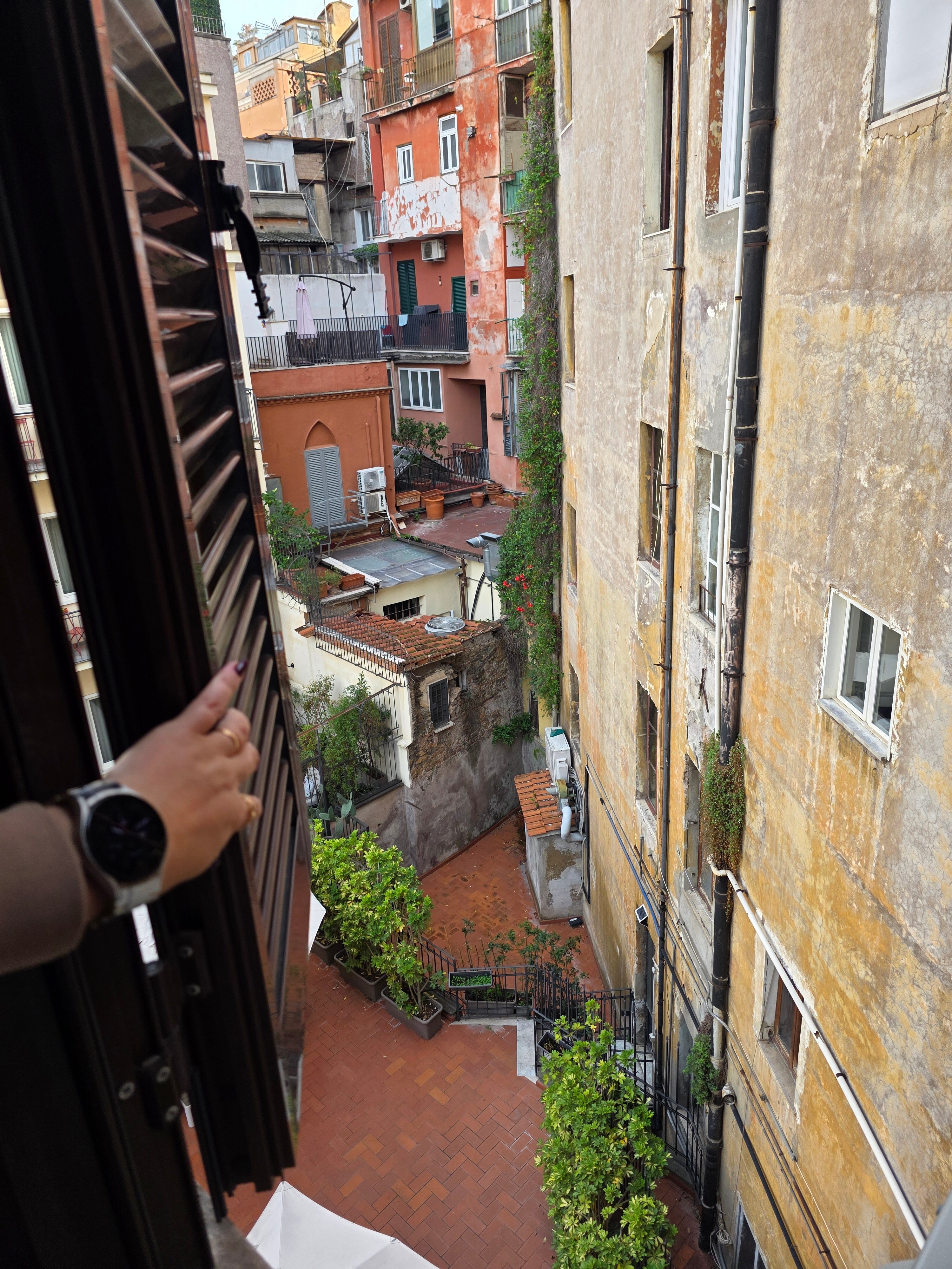 Фото Hotel Canova