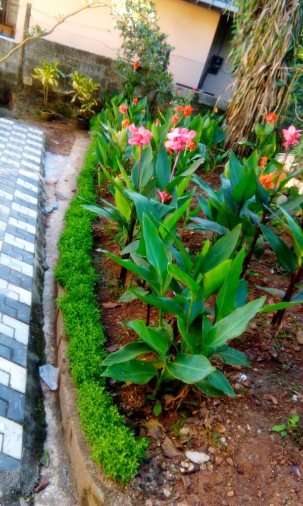 Фото Miracle Villa