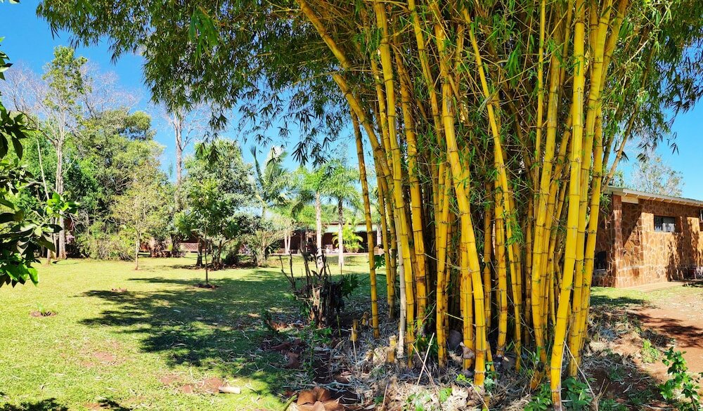 Фото Posada 21 Oranges
