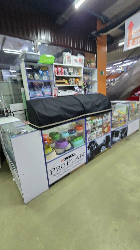 Pet shop ZooIsland, Almaty, photo