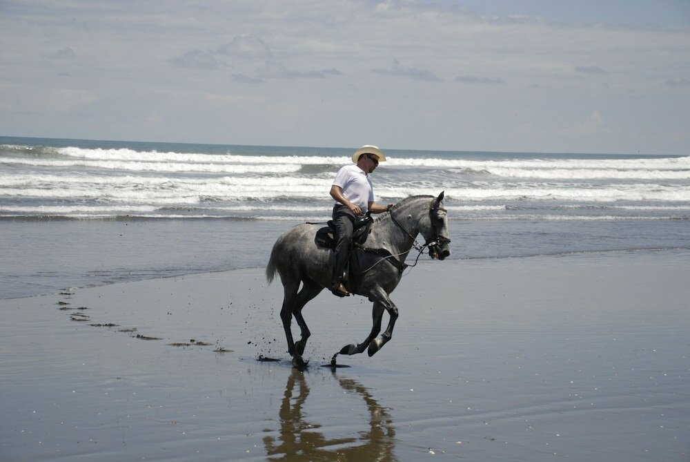 Фото Alma Del Pacifico Beach Hotel & SPA