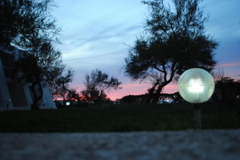 Фото Safir Mazafran