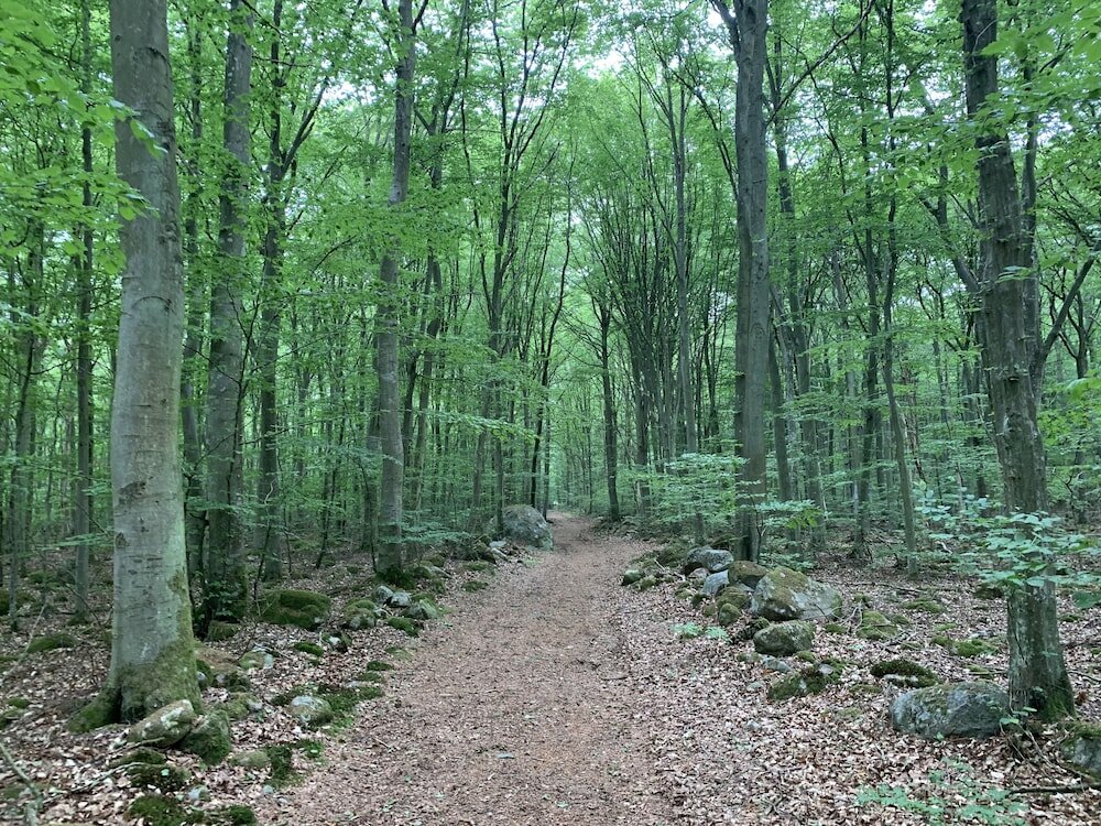 Фото Hotell Hanöhus Hällevik