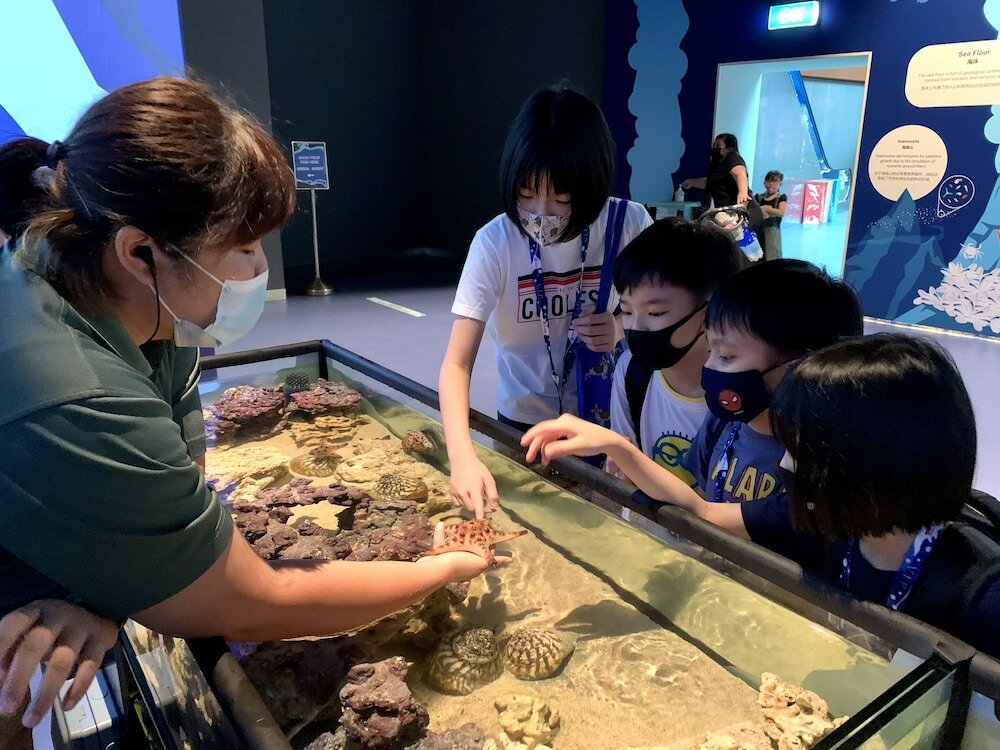 Фото Equarius Hotel